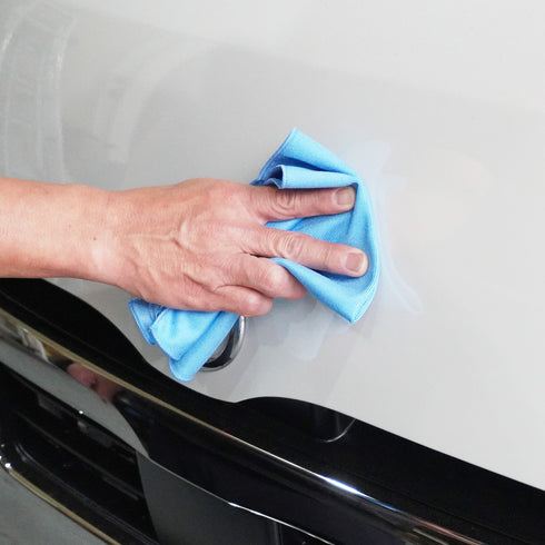 虫とり一発 ブルー 2枚セット 虫取りクロス 窓ガラス用クロス 虫取りタオル 虫除去 フン除去 虫死骸 鳥のフン 内窓用 ミラー用